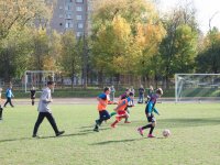 IMG_7884